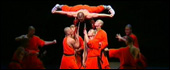 Shaolin Kungfu Show
