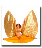 Belly Dancers