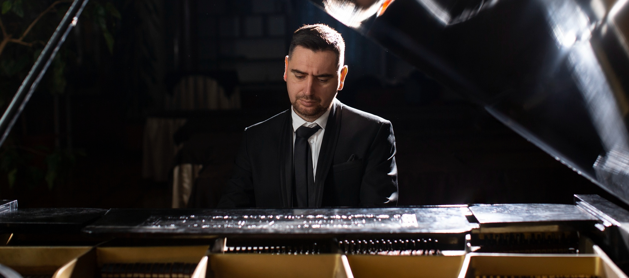 Piano bar entertainer performing for guests in a lounge